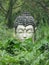 Buddha statue in the jungle