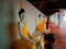 Buddha statue in khean kaet temple patthalung Thailand