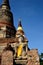 Buddha statue and Main Chedi