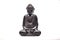 buddha statue meditating