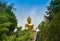 Buddha statue mountain