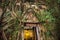 Buddha statue in the old temple, Temple covered with Banyan Tree roots at Wat Bang Kung temple, Samut Songkhram, ThailandBuddha