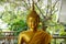 Buddha statue Sacred things that Buddhists respect.