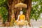 Buddha statue sitting under Bodhi tree