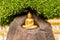 Buddha statue sitting under Bodhi tree.
