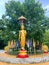 Buddha statue standing bodhi tree background in the temple Thailand, Buddha, teacher of buddhism