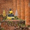 Buddha statue in temple ruin. Ayuthaya, Thailand