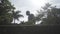 Buddha statue timelapse in thailand thai white, asia, big, religion, sky, tourist