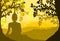 Buddha statue under the Bodhi Sacred Fig tree and mountain on sunset background,sunset, silhouette style