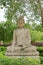 Buddha statue under bodhi tree