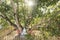 Buddha statue under a holy bodhi tree in Kandy