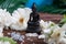 Buddha statue with white flowers, green leaves on wooden background. Concept of harmony, balance and meditation,