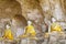 Buddha statues ancient in cave