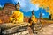 Buddha Statues in Ayutthaya, Thailand,