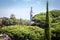 Buddha statues in the famous Bacalhoa Buddha Eden Garden in central Portugal