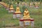 Buddha statues garden, Myanmar