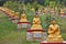 Buddha statues garden, Myanmar