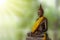 Buddha statues on green blur background. Concept buddha isolated on Green blurred background