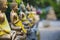 Buddha Statues in Seema Malaka Temple, Colombo, Sri Lanka. Selective Focus