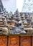 Buddha statues and small stupas in Gangaramaya temple, Colombo, Sri Lanka. Vertical