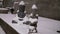 Buddha statues on the terrace and the first snowfall