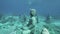 Buddha Statues Underwater Slowmotion 4k