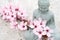 Buddha statuette with blooming sakura branch on concrete background with copy space