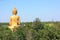 Buddha stature