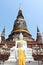 Buddha Status and pagoda, ayutthaya