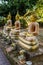 Buddha teaching different Mudras at Wat Chet Yod Chiang Mai