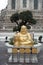 Buddha in the temple bangkog views