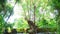 Buddha under the Banyan tree on Bali Indonesia