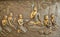 Buddha wooden carving.Mural paintings tell the story about the Buddha`s history