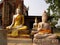 Buddhas in one of the temples of Ayutthaya, former capital of the kingdom of Siam. Thailand