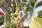 Buddhism flag and Thai flag in Buddhist Temple