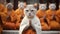 Buddhist cat, animal worship, funny illustration of a cat with folded paws.