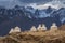 Buddhist chortens or stupas in Likir Gompa monastery, Leh district