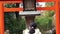 Buddhist girl praying at Japanese temple