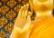 Buddhist hand sign