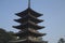 Buddhist Kofuku-ji pagoda in the city of Nara in Japan during the cherry blossoms