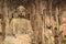 Buddhist Longmen Grottos or Caves, Luoyang, Henan, China