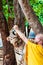 Buddhist monk feeding with milk a Bengal tiger in Thailand