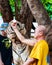 Buddhist monk feeding with milk a Bengal tiger in Thailand