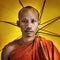 Buddhist monk holding umbrella Ceremony Concept