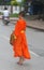 Buddhist monk at the morning procession, Luang Prabang, Laos