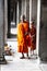 Buddhist monk posing for picture