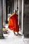 Buddhist monk posing for picture