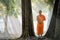 Buddhist monk practice walking meditation under tree in Buddhist temple