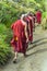 The buddhist monk walks in the Horton