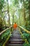 Buddhist monk at wooden bridge in misty tropical rain forest